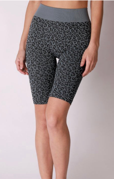 Fierce Feline Seamless Short Set